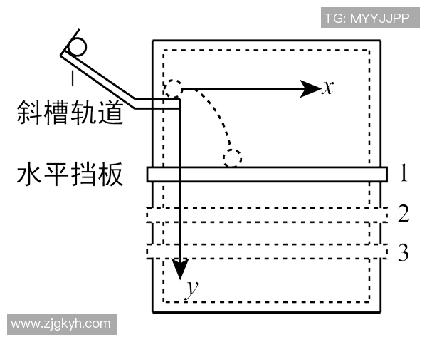 西安排球队的速度分析与战术应用探讨排球运动的未来发展方向
